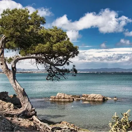 Villa Moderne Jardin Parking Centre Hyeres